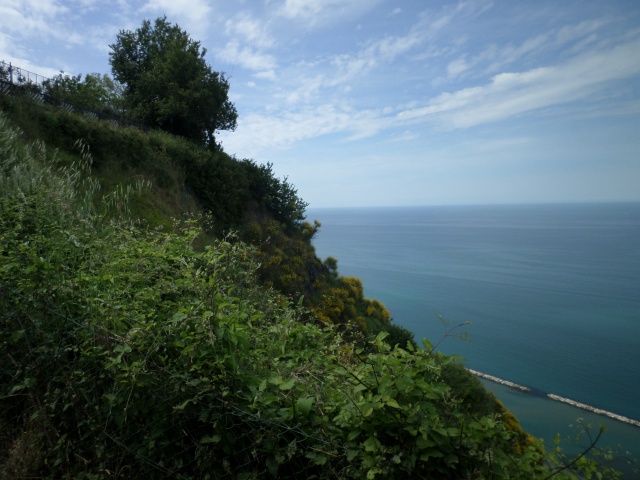 Wooded cliff and sea view